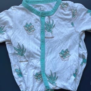 3/6 succulent snap romper